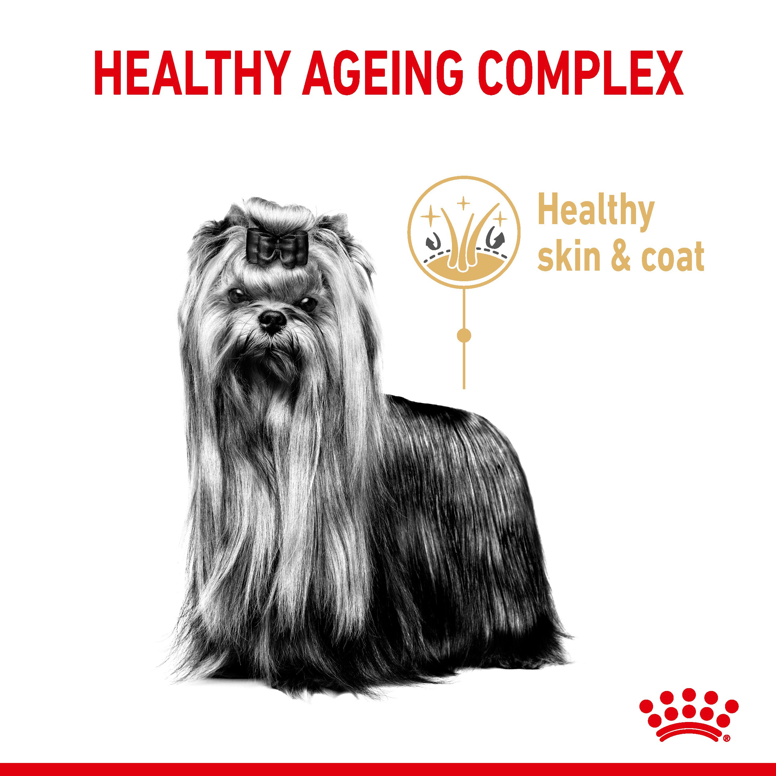 Royal canin for yorkies store reviews